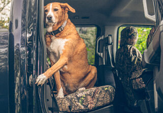 Seat Covers Tile Image